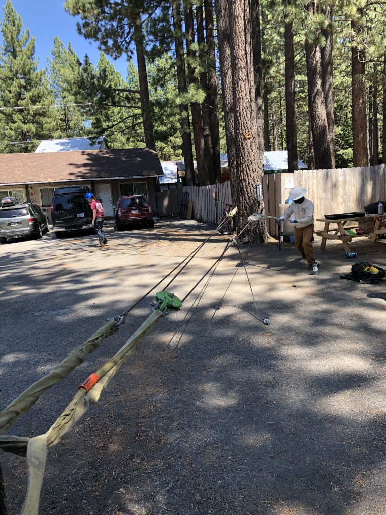 Demonstrating a 3:1 mechanical advantage during rigging training for trails.